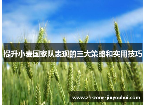 提升小麦国家队表现的三大策略和实用技巧